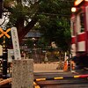境内