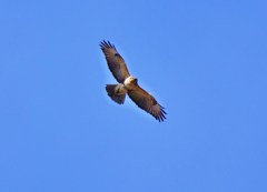 上空