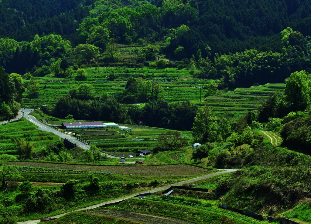 里山