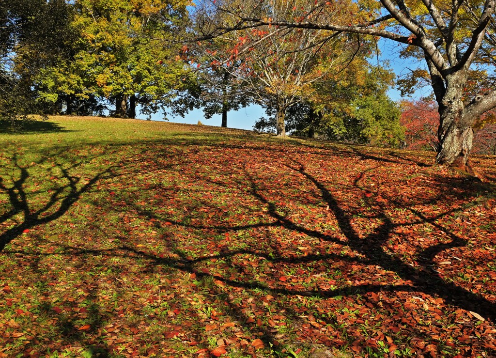 古墳のある公園