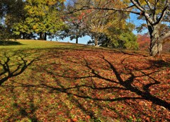 古墳のある公園