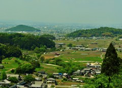 大和