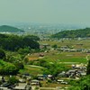 大和