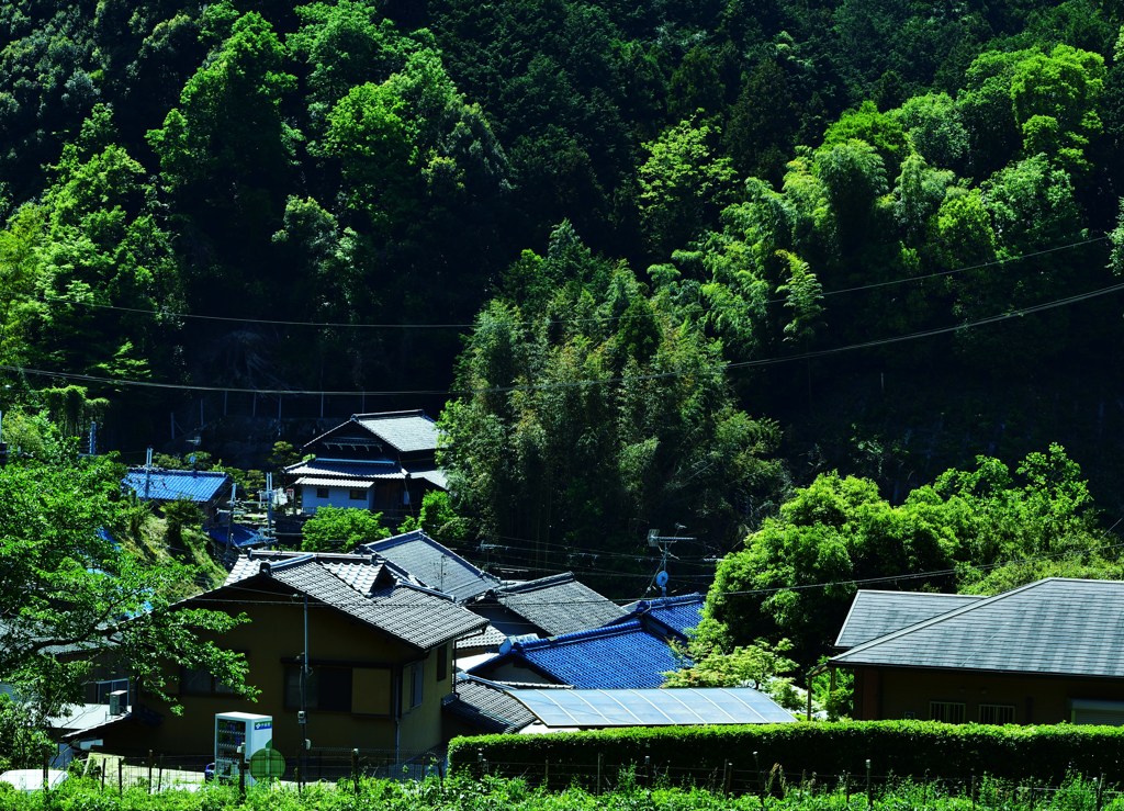 里山