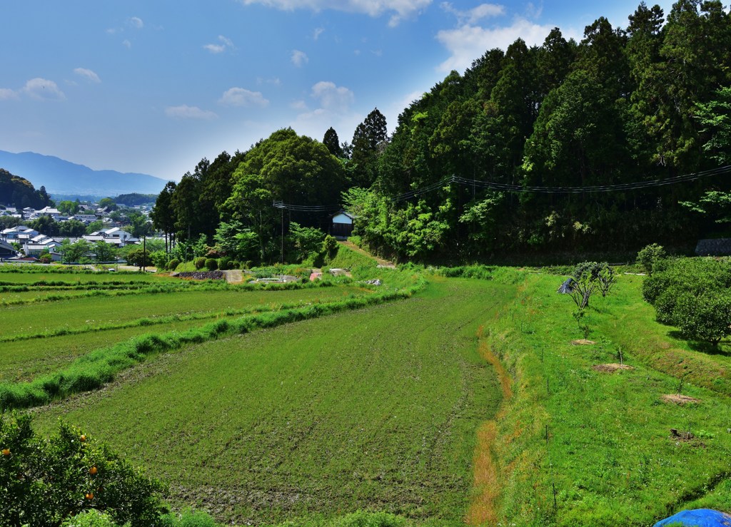 里山