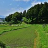 里山
