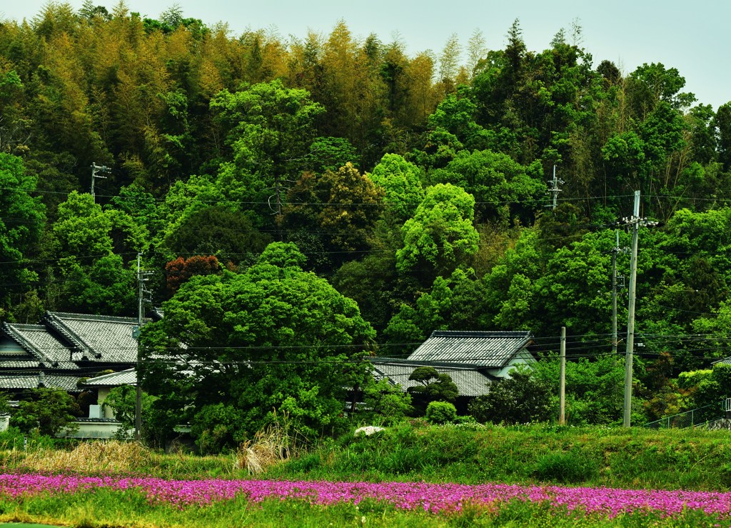 里山