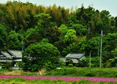 里山