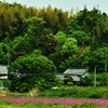 里山