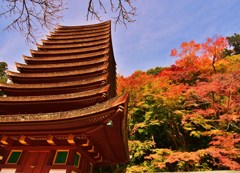 紅登