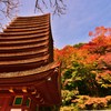 紅登
