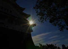 勇陽