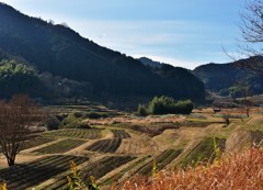 里山