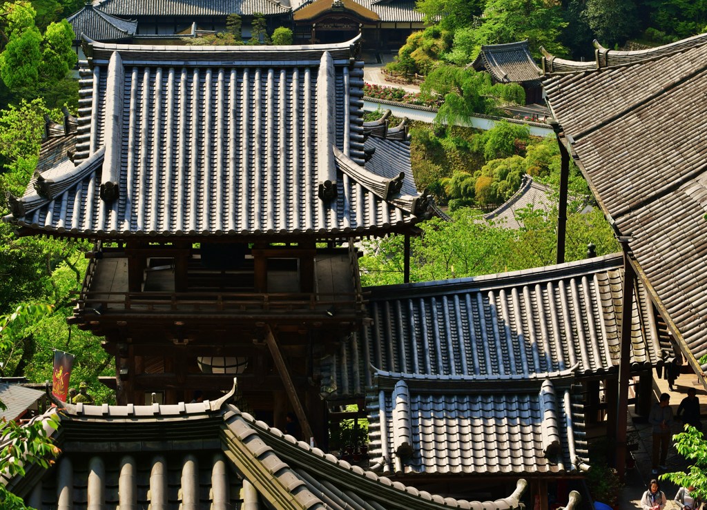 屋根