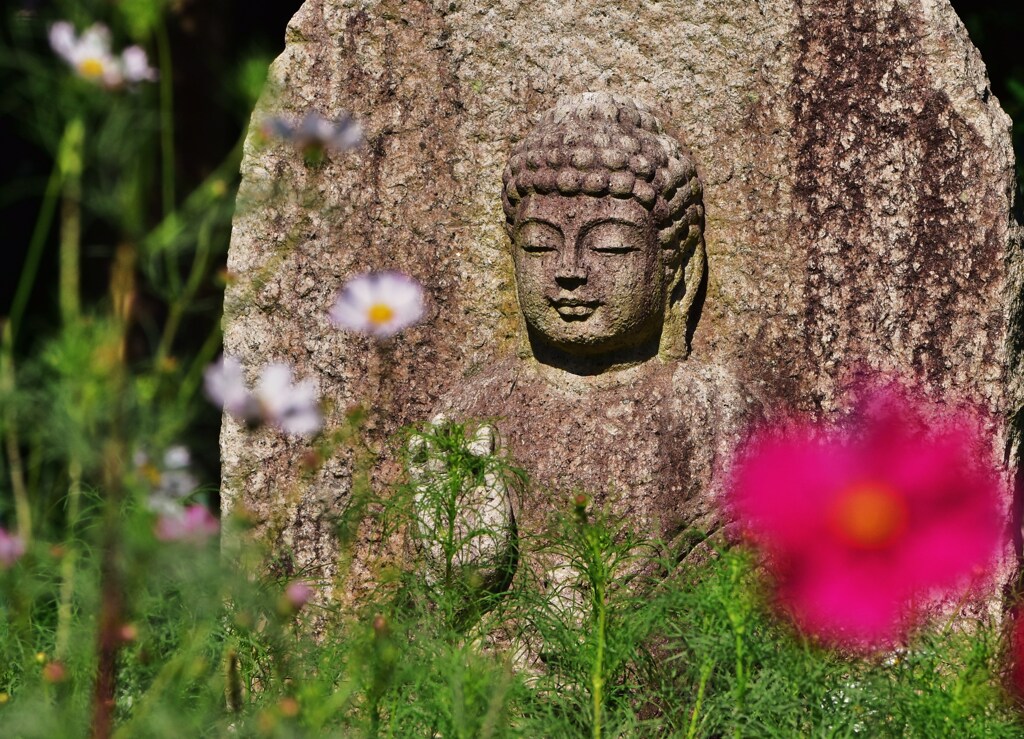 花と仏様