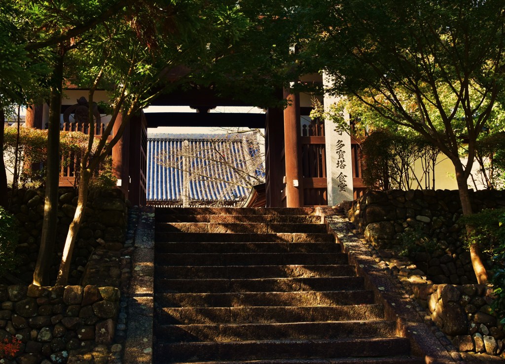 朝陽