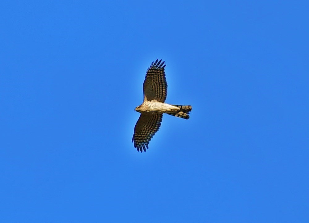 上空