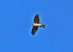 上空