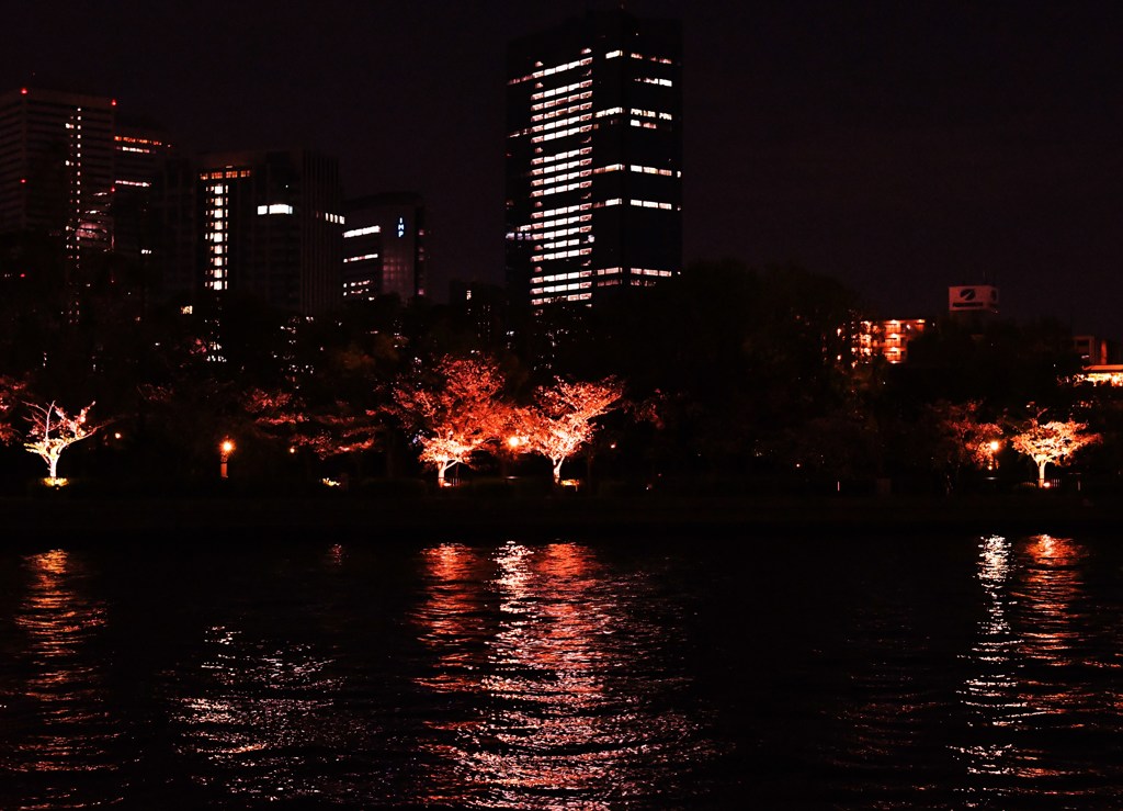 街桜