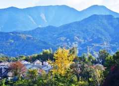 遠景