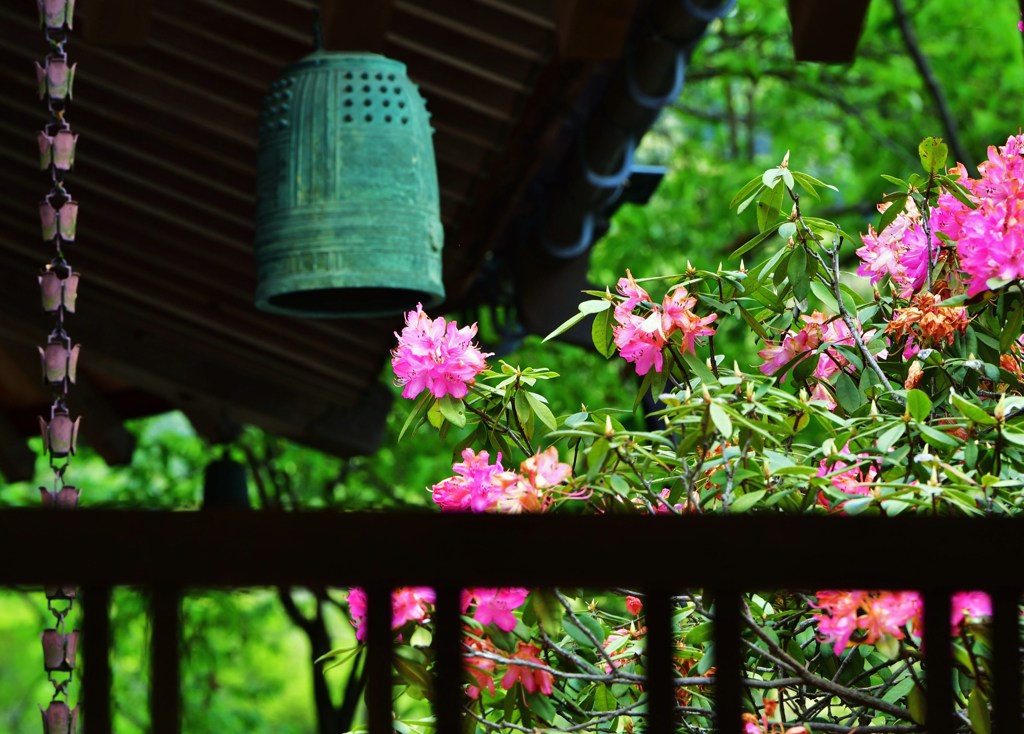 花鐘