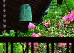 花鐘