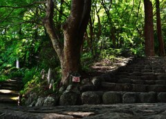 昇り道