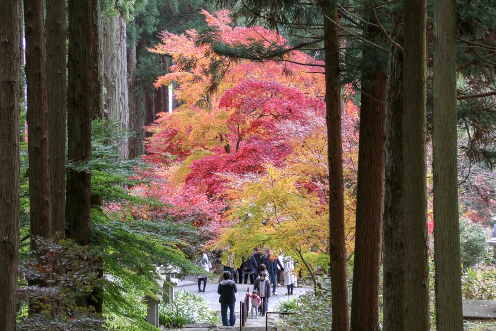 保科の清水寺