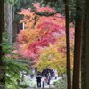 保科の清水寺