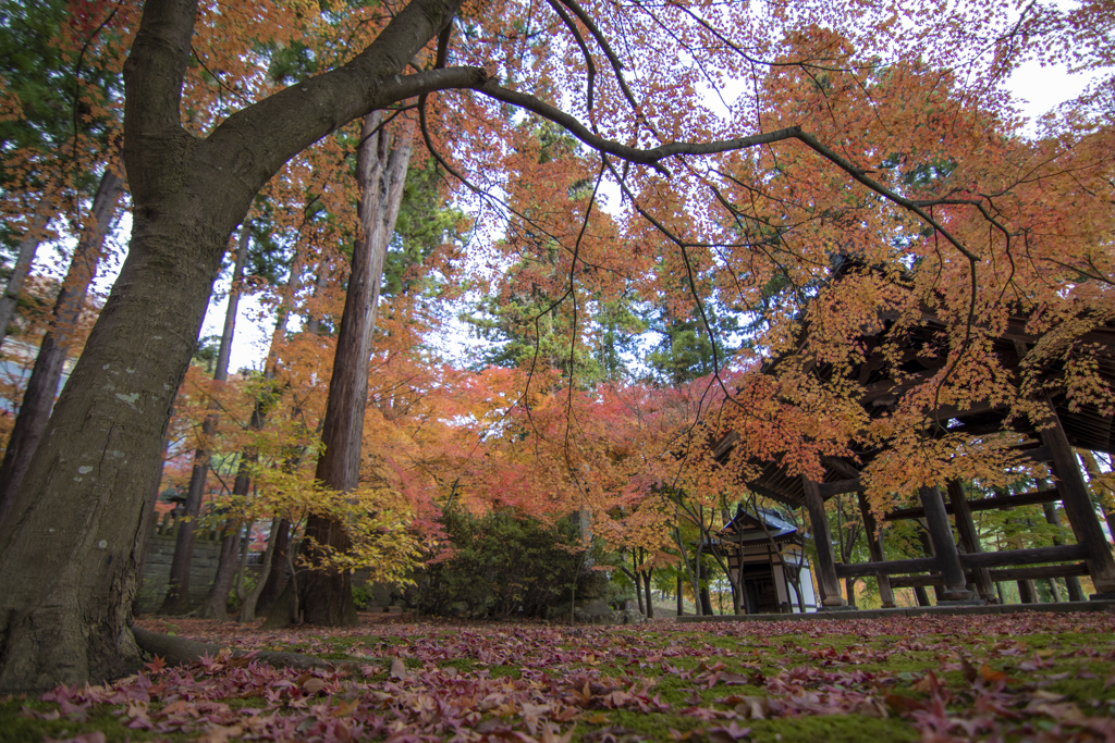 昌禅寺