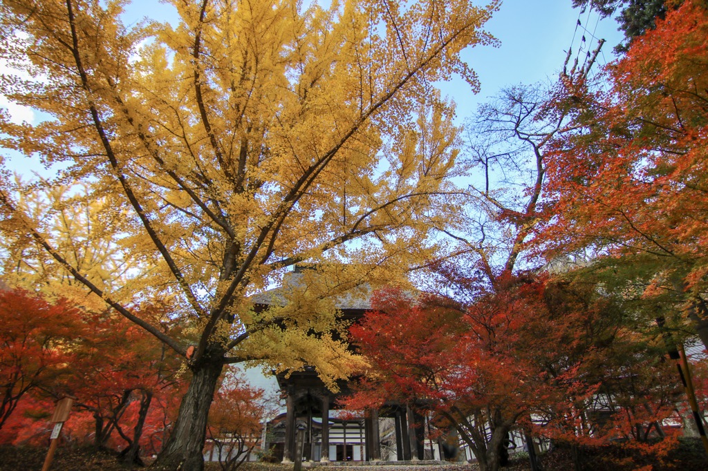 霊松寺