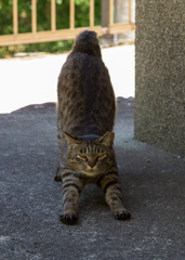 Post_IMG_1536