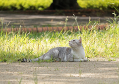 Post_IMG_0222