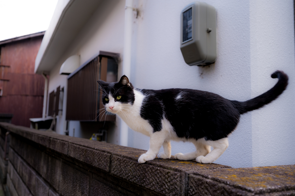 じゃあな