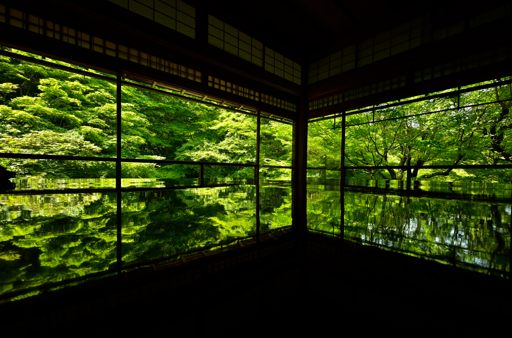 _DSC0816