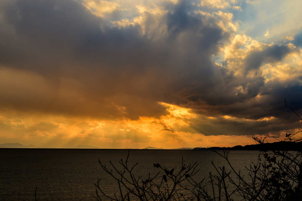 _DSC6606