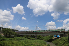 青と緑