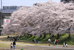 今日も世界はこんなにも美しい