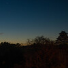 大阪城夜明け前