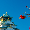 赤い実と大阪城