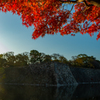 お城の紅葉１