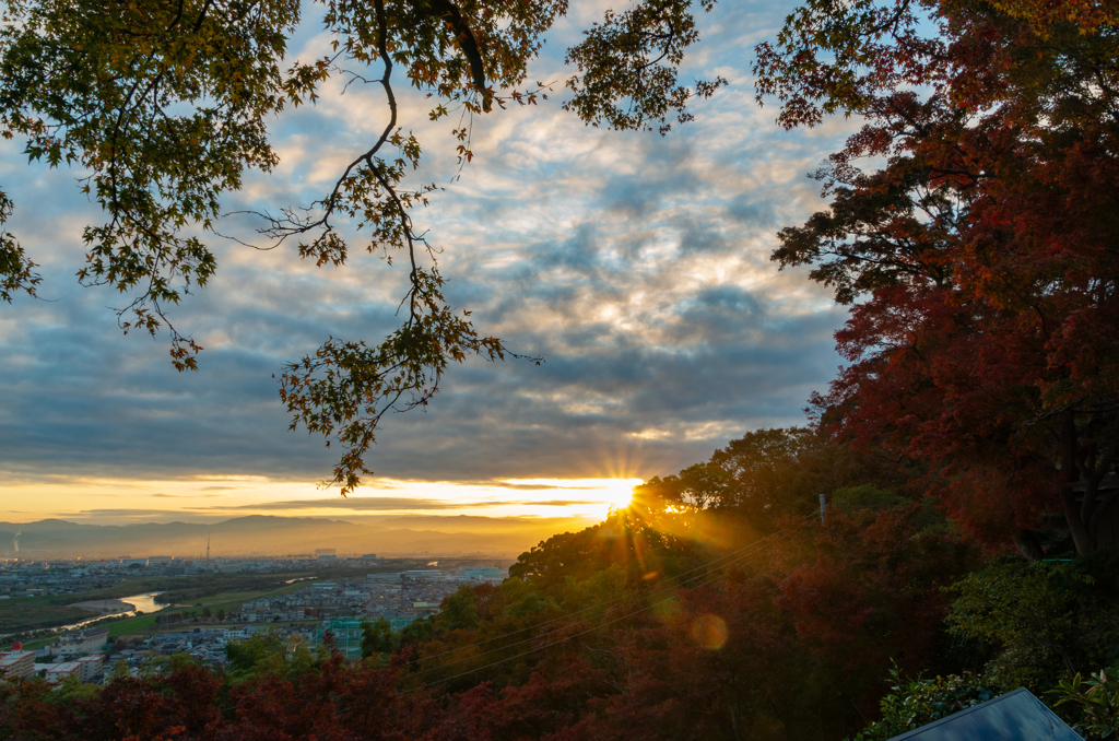 展望台の朝