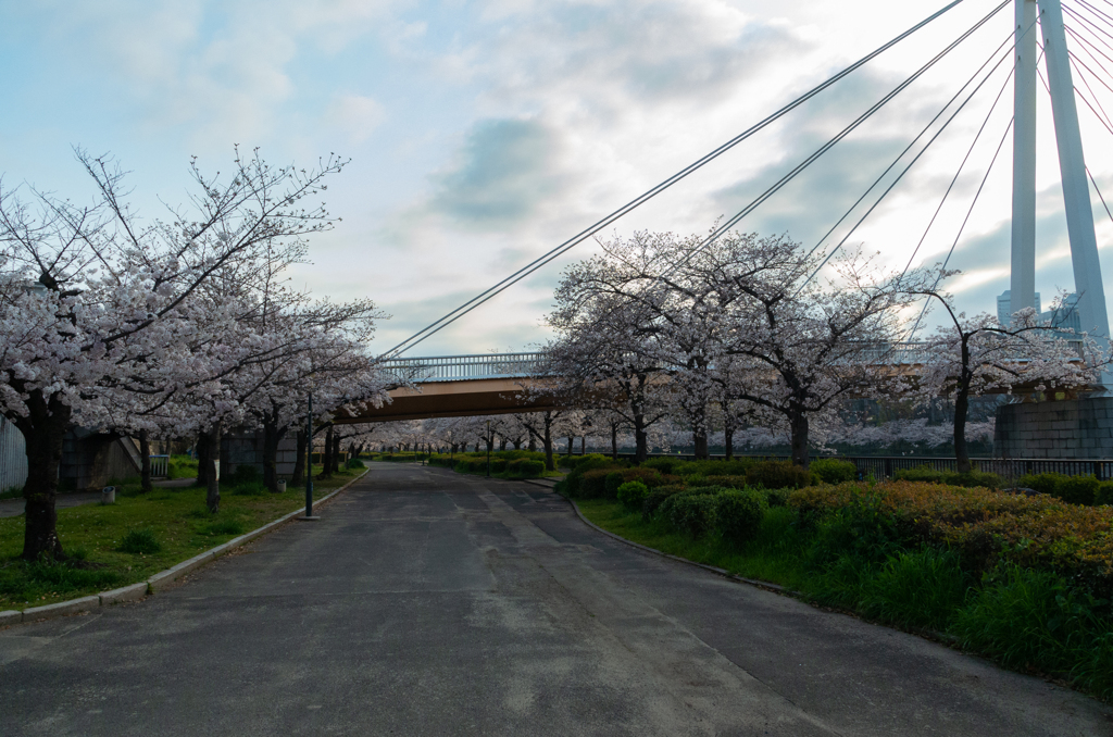 まあ そうなるな By まさじ Id 写真共有サイト Photohito