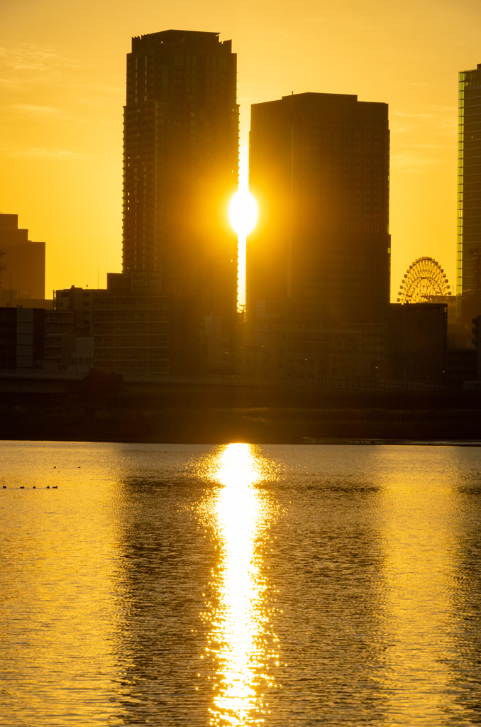 隙間の朝日