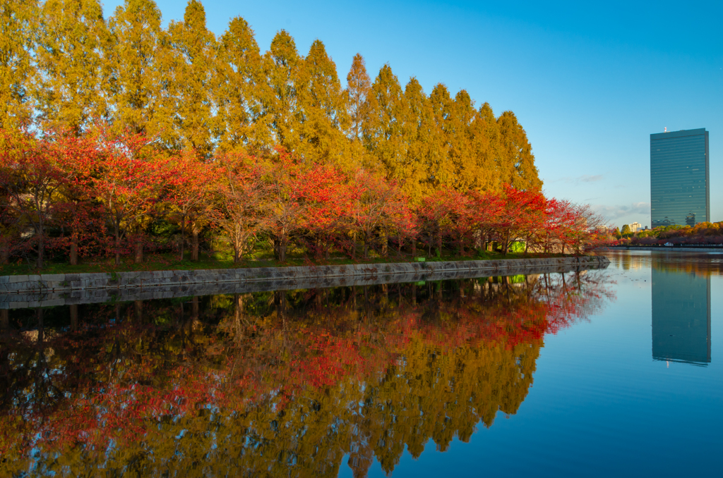 お城の紅葉４