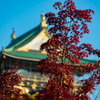 大阪の紅葉