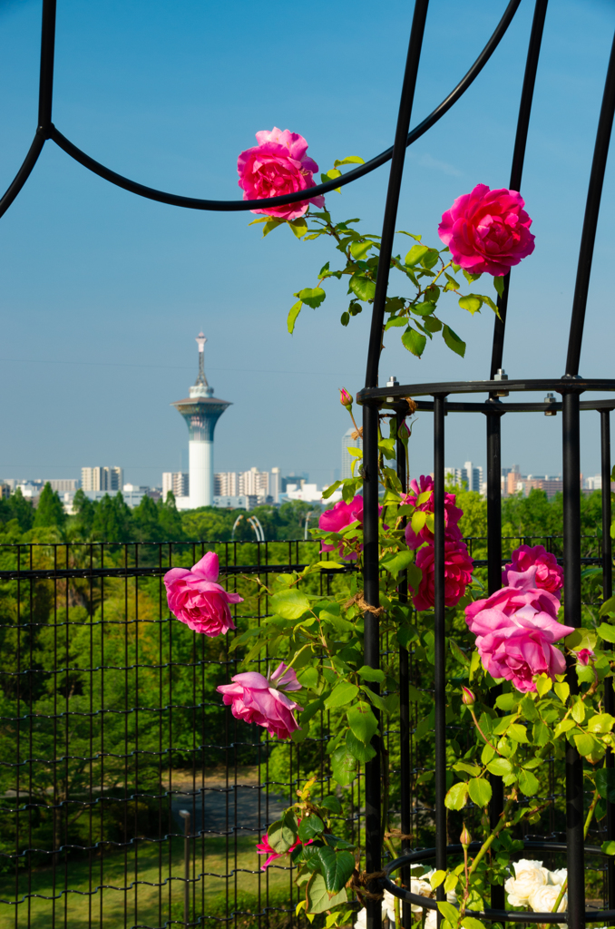 新しい風景