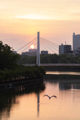 暁に向かって