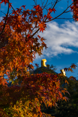 奈良の紅葉（その１）