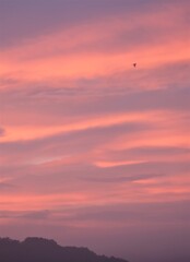 夏の夜明け